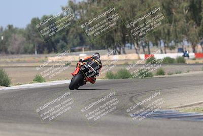 media/Sep-07-2025-Pacific Track Time (Sun) [[a6322260b9]]/A and B Group/Wheelie Bump A and B/